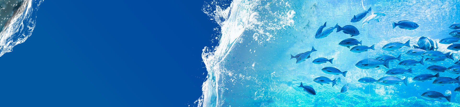 পণ্য