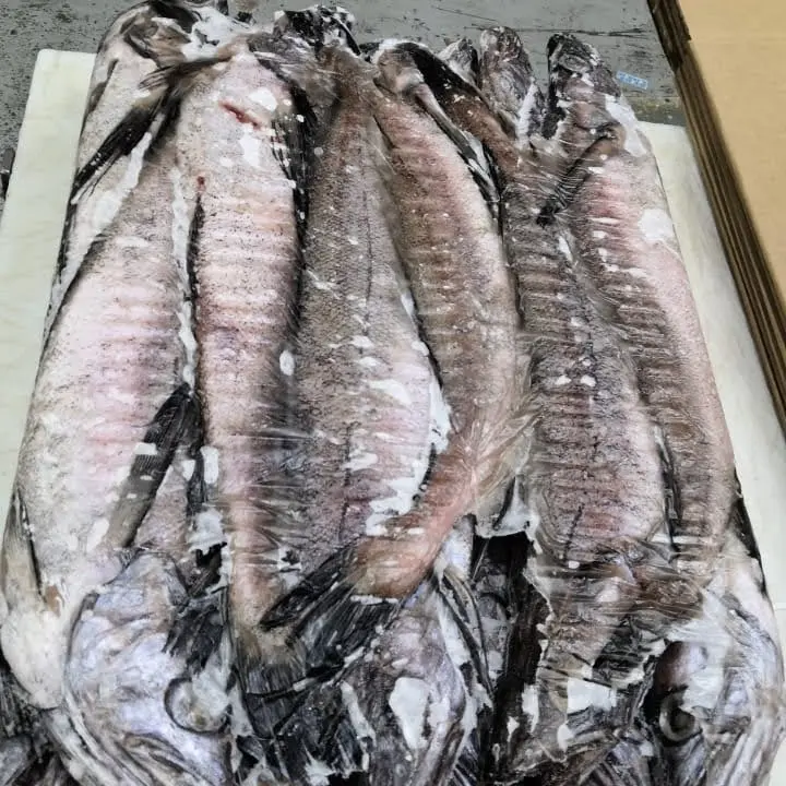 হিমায়িত Hake পুরো বৃত্তাকার