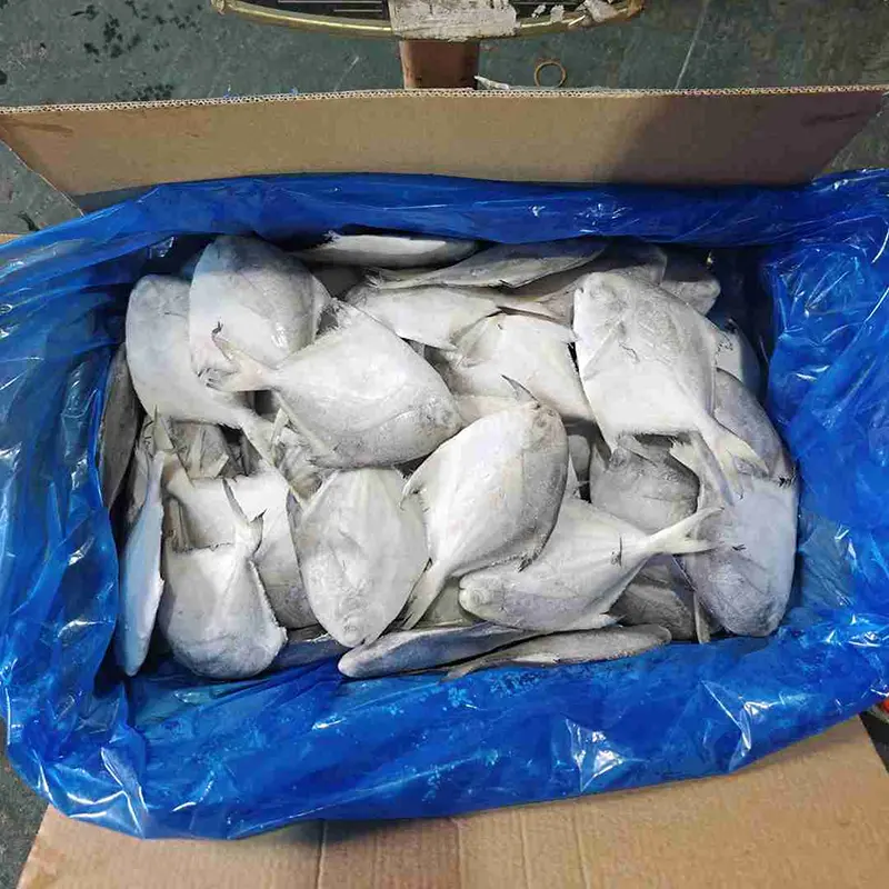 প্রিমিয়াম শক্ত কাগজ সাদা পমফ্রেট পুরো রাউন্ড