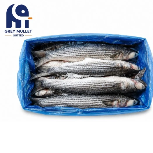 পরিমার্জিত প্রক্রিয়াকরণ হিমায়িত ধূসর Mullet গুট
